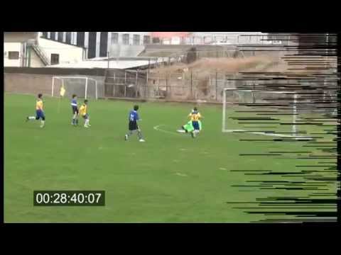 Artur Barseghyan,Pyunik-2-2001