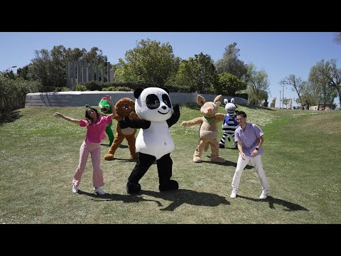 PANDA FLASH 📸 FESTIVAL PANDA 2023 - COREOGRAFIA 🐼🎶