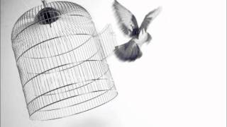 The Field Mice - Letting Go Cover