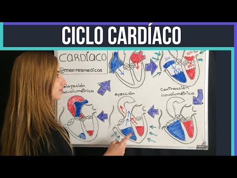 CARDIAC CYCLE: Easy explanation! | Medical Minds