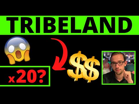 Easy 20x for the Tribeland MMORPG Play-to-earn Metaverse (research report)
