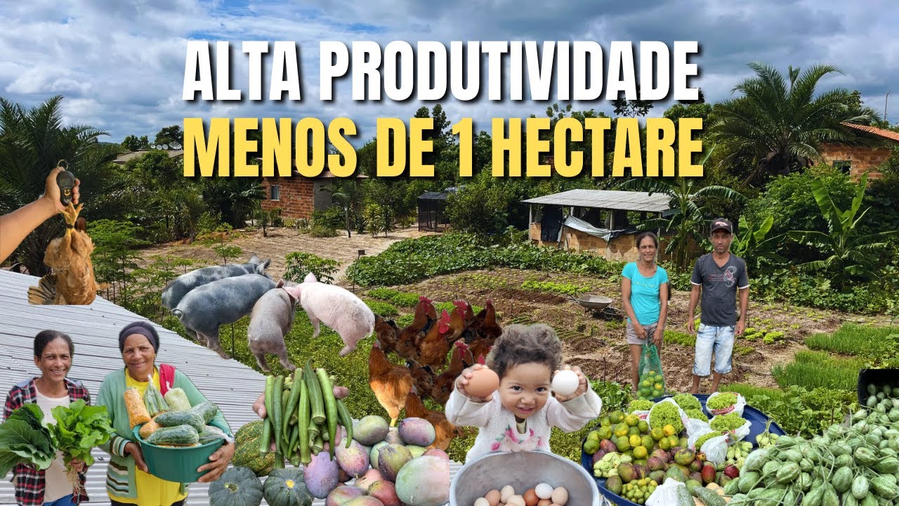 SÍTIO LUCRATIVO, 5 atividades que gerem renda no nosso sítio pequeno