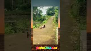 Download lagu kecelakaan beruntung 😭 #memesviral #lucu #ngakak #meme #shorts mp3