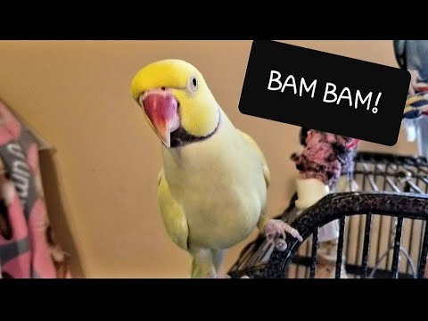 A RELAXING DAY AT THE SHARYN ZOO 💖🐽💖