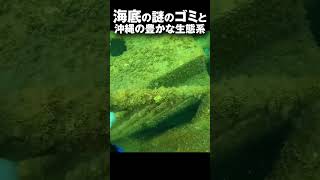 海の中を掃除していたらルアーだけじゃなくてこんなものが…