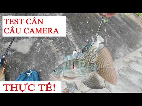COMBO CAMERA CÂU CÁ REVIEW THỰC TẾ TẠI HỒ ĐIỀU HÒA – CHIA SẺ KINH NGHIỆM SỬ DỤNG HIỆU QUẢ