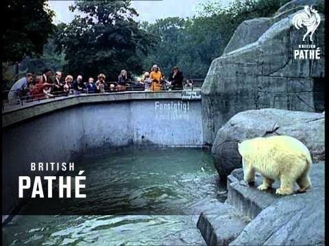 Out Takes / Cuts From Cp 513 -  Copenhagen Reel 2 Of 2 (1964)