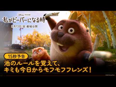 15秒予告｜池のルールを覚えて、キミも今日からモフモフフレンズ！