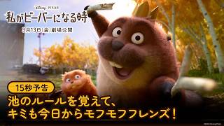 15秒予告｜池のルールを覚えて、キミも今日からモフモフフレンズ！
