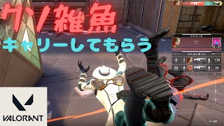 【VALORANT】味方のキャリー頼みのゴミ【始めました】