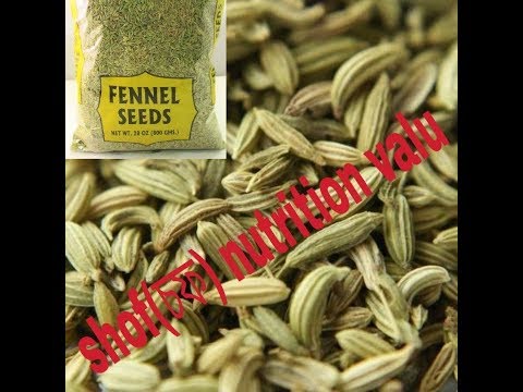 download lagu mp3 mp4 Shof, download lagu Shof gratis, unduh video klip Shof