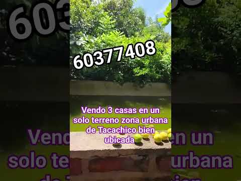 Vendo en San Pablo Tacachico 60377408