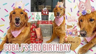 My Golden Retrievers 3rd Birthday Celebration | Coba J's 3rd Birthday Special