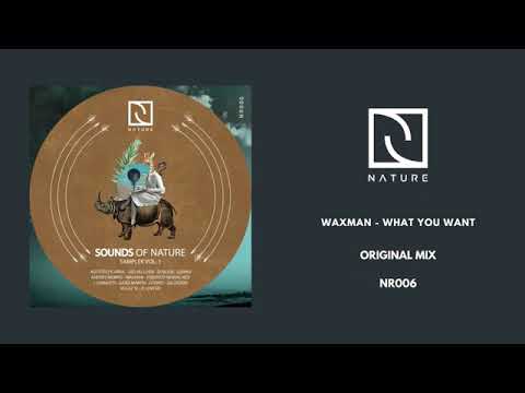 Waxman - What you want ( Original Mix)