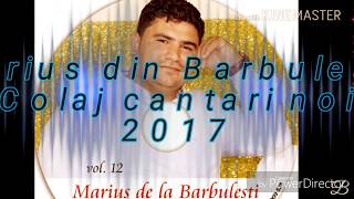 Marius de la barbulesti colaj cantari noi 2017