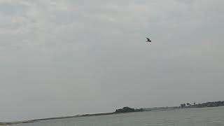 preview picture of video 'Island beach Mahabalipuram - Pondicherry on ECR, Mudliyarkuppam'