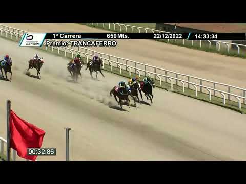 221222 c01 - AMBASSADEUR - HIPODROMO LAS PIEDRAS