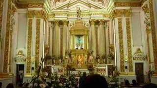 TRIGO Y VID CANTAN: CON FLORES DE MIL COLORES