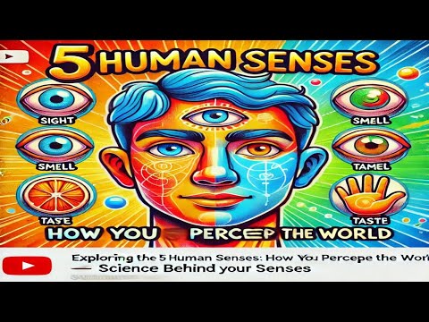 Exploring the 5 Human Senses: How We Perceive the World | Science Behind Our Senses