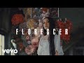 Priscilla Alcantara - Florescer (Pseudo Video) Priscilla Alcantara - Florescer (Pseudo Video)