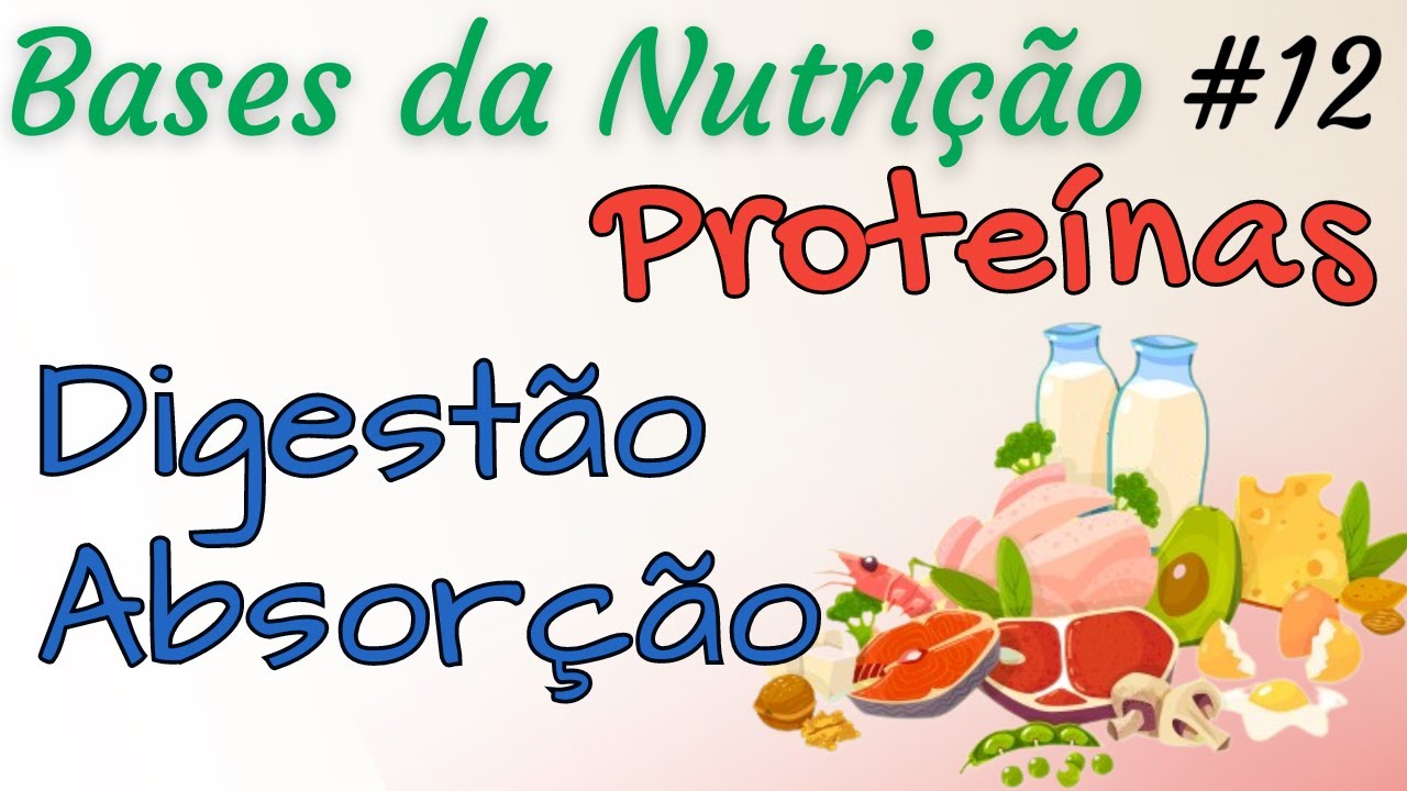 PROTEÍNAS: Digestão e Absorção - Bases da Nutrição 12