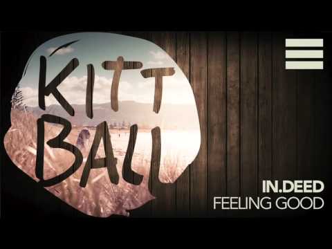 in.deed feat. Maura Hope - Feeling Good