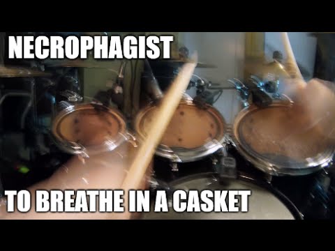 Necrophagist POV Drumming