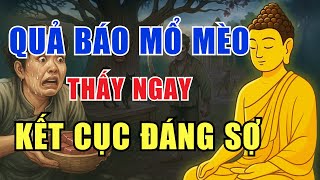 6 Câu Chuyện Nhân Quả Có Kết Cục Đáng Sợ Khiến Người Rợn Mình | Nghe Chuyện Đêm Khuya