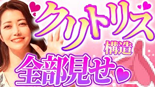 【膣から刺激♡】9割が見えないクリトリス構造と医学的攻め方を解説