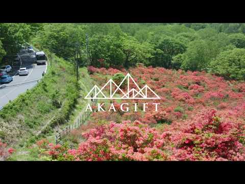【AKAGIFT】赤城山できゅんっ。 秘密の絶景！普段は入れない赤城白樺牧場