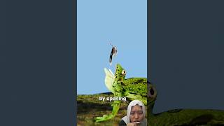 Download lagu Eaten by a giant frog #animationfilm #film #animals mp3