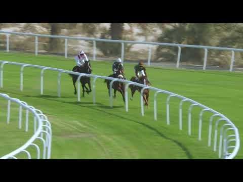BAHRAIN INTERNATIONAL TROPHY 2022 | RACE 2