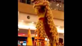 preview picture of video 'SCM Cup Traditional Lion Dance Championship 2011_Finals  Part 1/5'