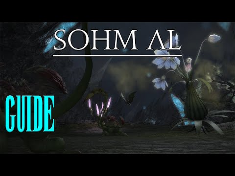 ⚔️ Sohm Al 🏹 Tank-POV // Heavensward - Dungeon Guide // Neulings Guide FFXIV