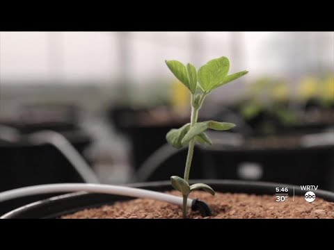 WRTV News at 5:30 pm - December 22, 2020