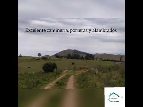 36 has 4985 ubicado en el Campanero