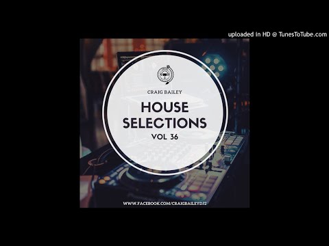 Craig Bailey - House Selections Vol 36
