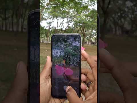 vivo y21 camera test 🥰✅ #shorts #shortvideo #shortsfeed