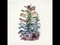 joan of arc - pine cone