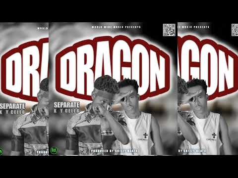 SEPARATE X Y CELEB - DRAGON - [PROD BY SNIZZYBEATX]