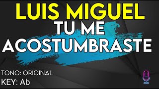Luis Miguel - Tú Me Acostumbraste - Karaoke Instrumental