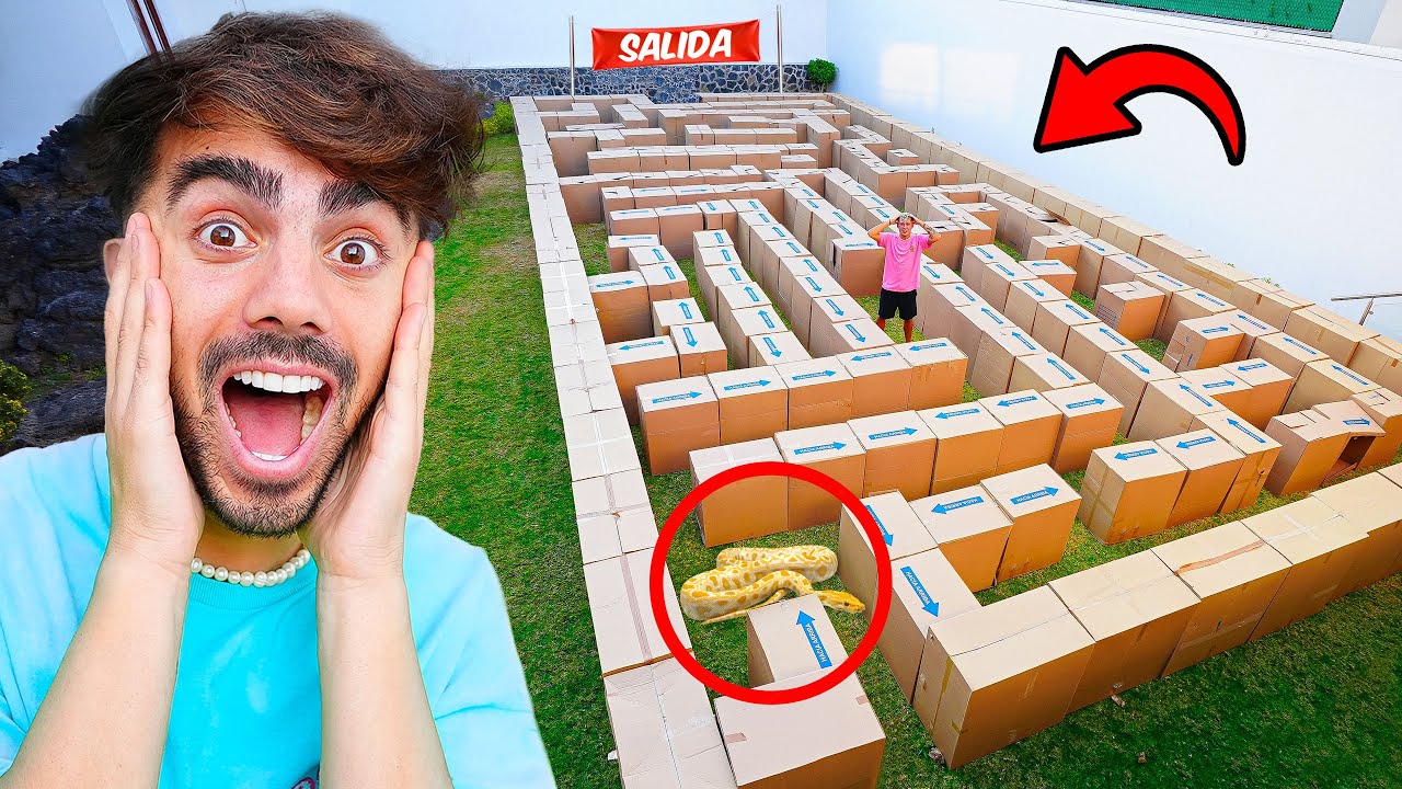 CONSTRUI UN LABERINTO DE CARTON EN MI CASA! *con animales*