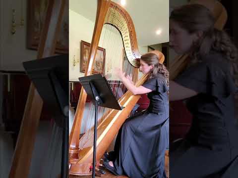 Promotional video thumbnail 5 for Dayton Harpist