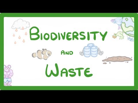 Kingdoms of Life Animals Plants Fungi Protoctists Bacteria and Viruses 1