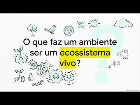 Ecossistemas e Biomas em SJC