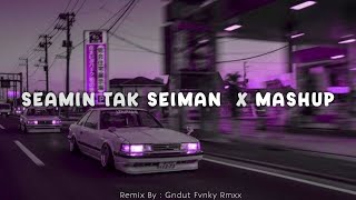 Download lagu DJ SEAMIN TAK SEIMAN X MASHUP 2024. • BY : Gndut Fvnky Rmxx mp3