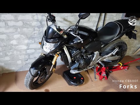 Honda CB600F Hornet minor forks maintenance.🤜🤛E125S25