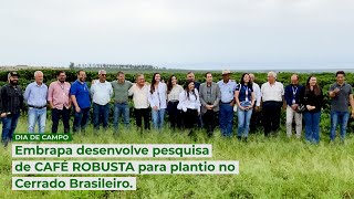 Embrapa desenvolve pesquisa de café robusta para plantio no Cerrado