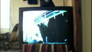 Muffs Right In The Eye