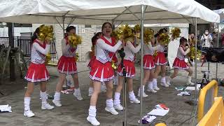 全日本女子チア部☆AJO －④『Runner』／沿道応援イベント⑭／東京マラソン2019